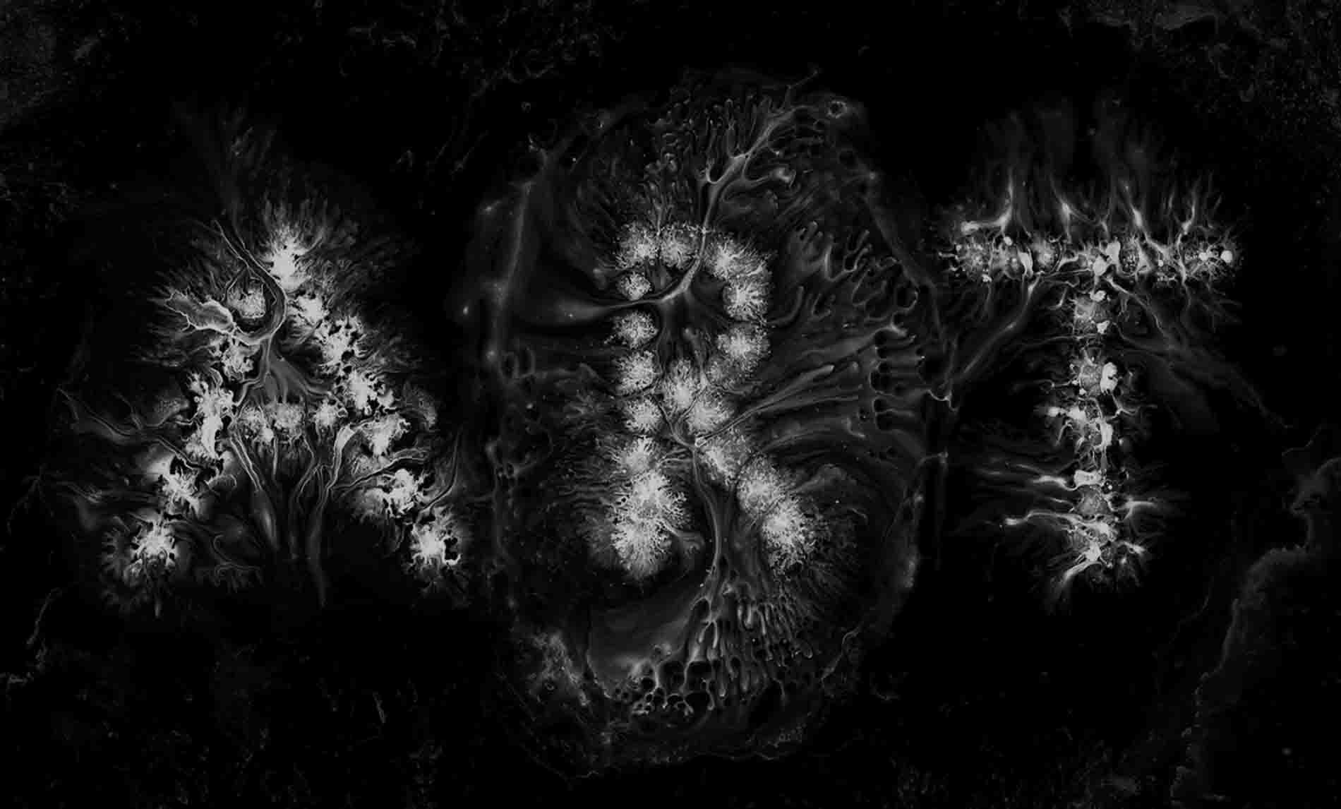 Free HTML5 Template by uicookies.com